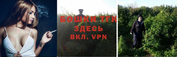 дживик Каменка