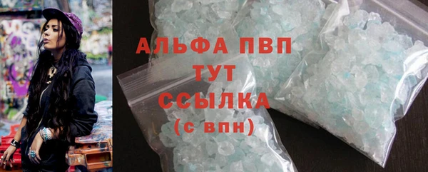молекула духа Каменногорск