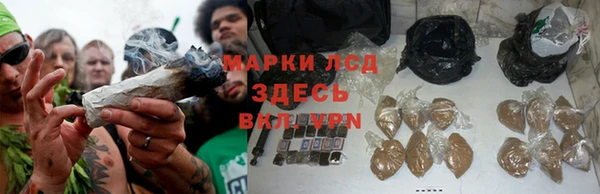 молекула духа Каменногорск