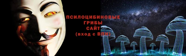 дживик Каменка