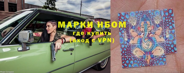 молекула духа Каменногорск