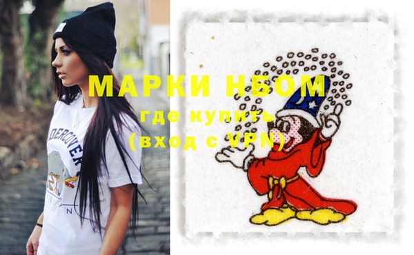 дживик Каменка