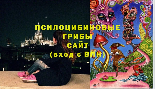 дживик Каменка