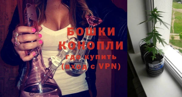 дживик Каменка