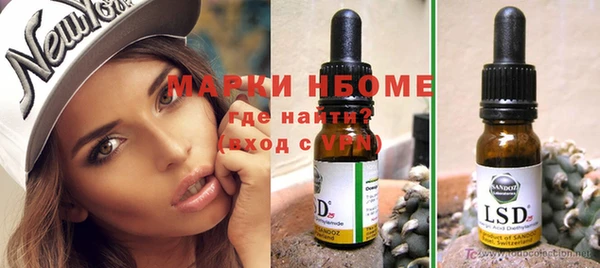 молекула духа Каменногорск