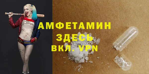 молекула духа Каменногорск