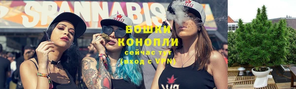 дживик Каменка